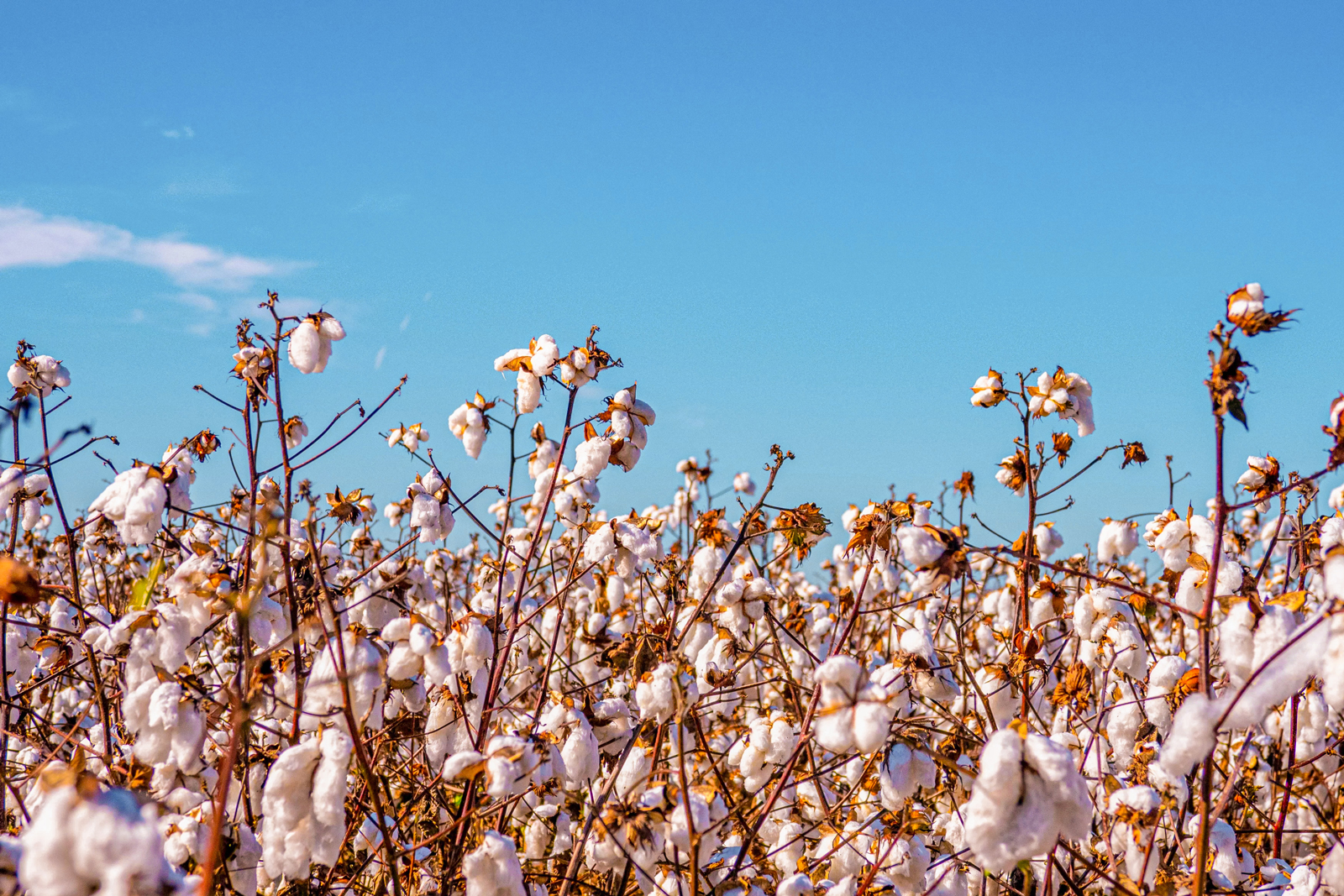 What materials and raw materials are used in cleaning textiles ...