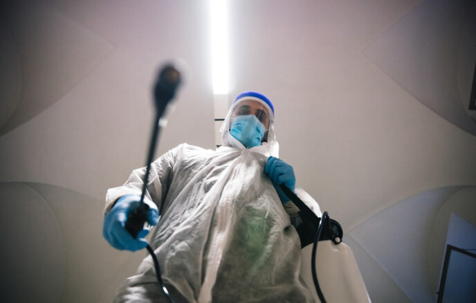 Schädlingsbekämpfung