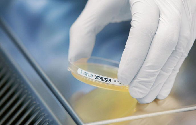 Hygiene-Monitoring: Die Qual der richtigen Wahl