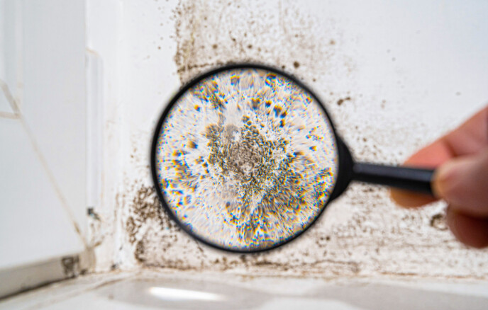 nova pura_schimmelprävention_01